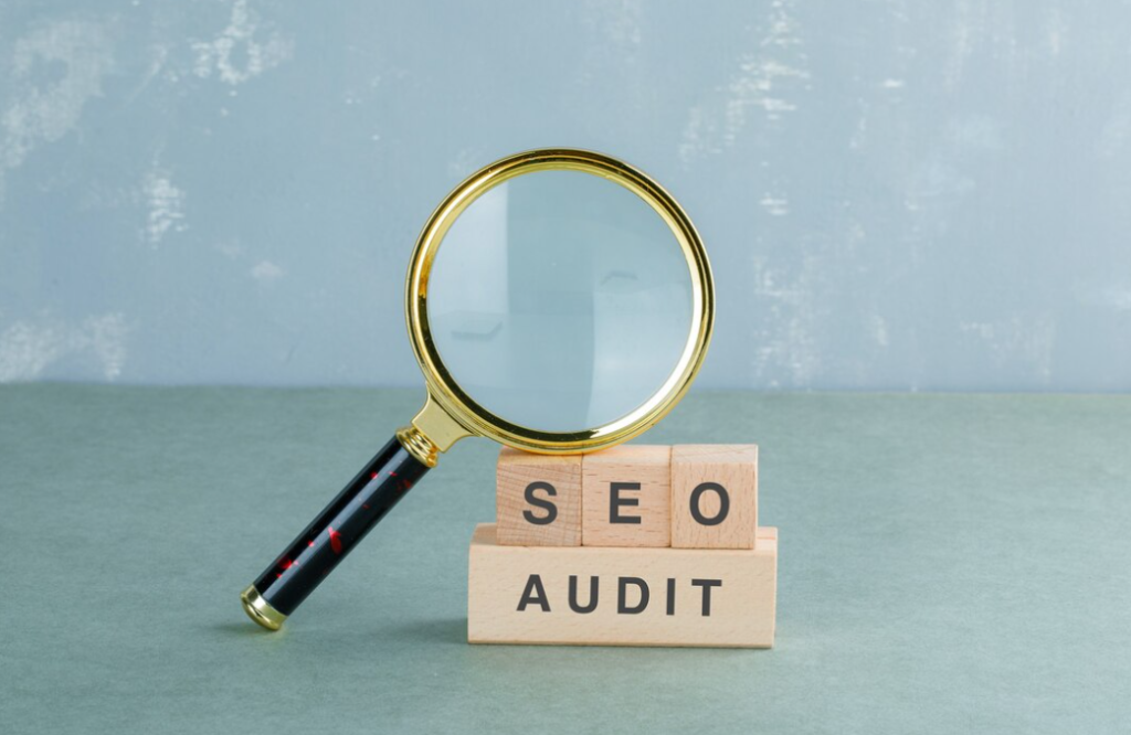 SEO Website Audit for Services of an Expert